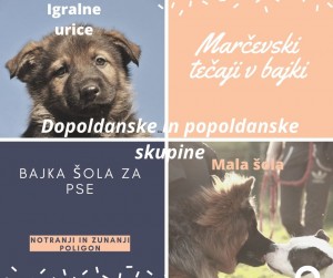 MArčevski tečaji v bajki