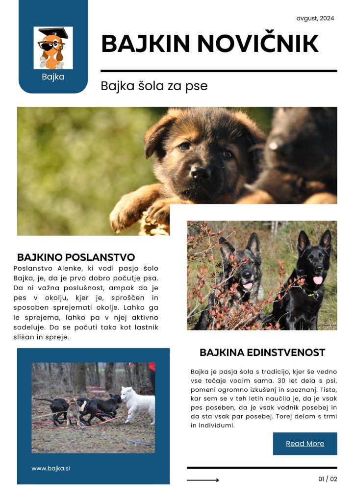 Novičnik