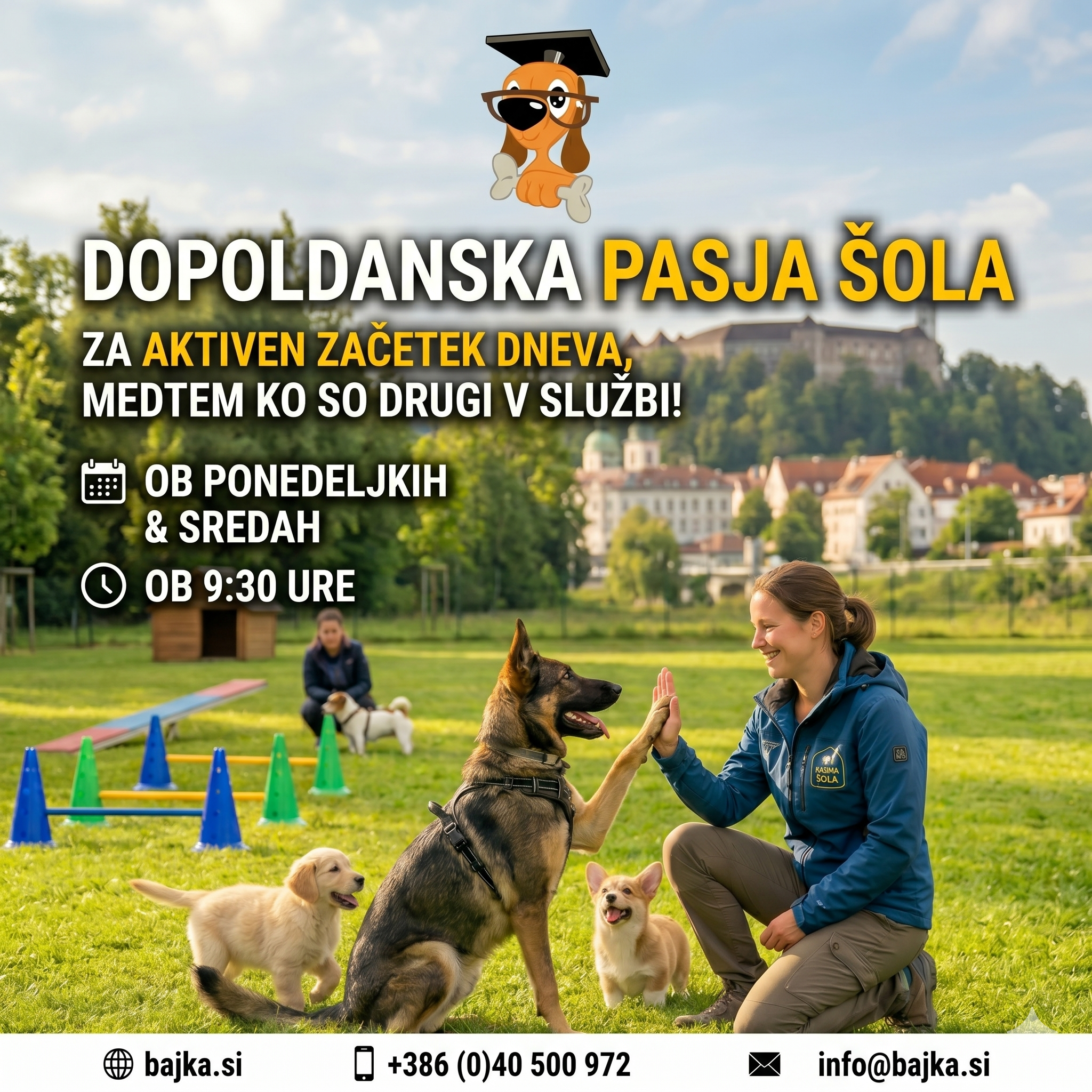 Dopoldanska skupina