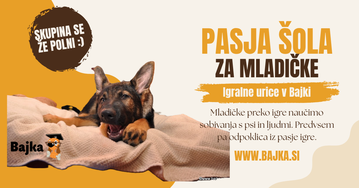 Dodatna skupina pasjih mladičkov